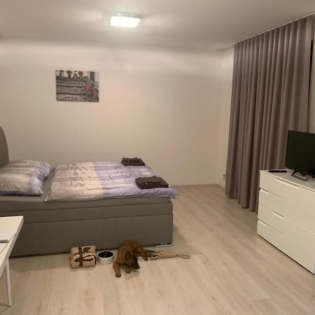 Modern Apartment In The City Center Πίλζεν Εξωτερικό φωτογραφία